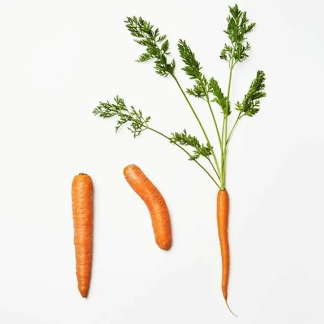 Hovedbilde Gulrot ca.500g